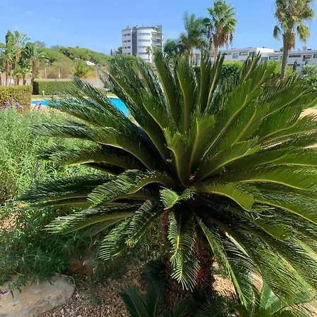 Apartment 2 Minutes From Beach With Pool